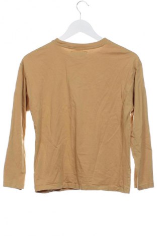 Kinder Shirt Zara, Größe 10-11y/ 146-152 cm, Farbe Gelb, Preis € 5,99