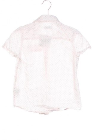 Cămașă pentru copii LC Waikiki, Mărime 2-3y/ 98-104 cm, Culoare Multicolor, Preț 31,58 Lei