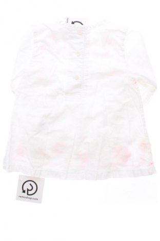 Dziecięca sukienka George, Rozmiar 6-9m/ 68-74 cm, Kolor Kolorowy, Cena 33,99 zł