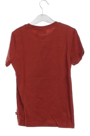 Dziecięcy T-shirt Lego, Rozmiar 7-8y/ 128-134 cm, Kolor Kolorowy, Cena 62,99 zł