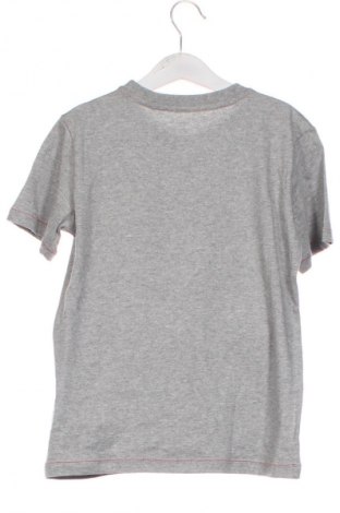 Dziecięcy T-shirt Wolf, Rozmiar 4-5y/ 110-116 cm, Kolor Szary, Cena 24,99 zł