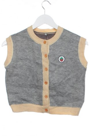 Παιδικό γιλέκο Unbranded, Μέγεθος 3-4y/ 104-110 εκ., Χρώμα Πολύχρωμο, Τιμή 5,99 €