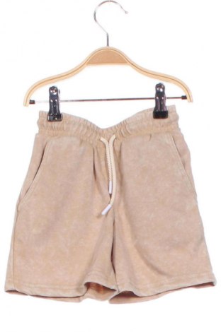Pantaloni scurți pentru copii Campus, Mărime 4-5y/ 110-116 cm, Culoare Multicolor, Preț 31,99 Lei