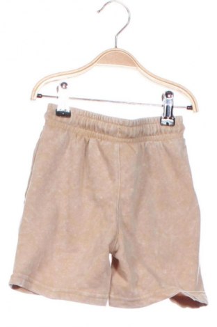 Pantaloni scurți pentru copii Campus, Mărime 4-5y/ 110-116 cm, Culoare Multicolor, Preț 31,99 Lei