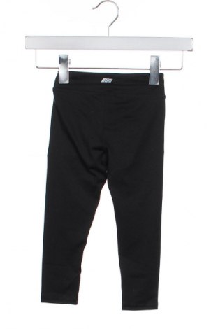 Dziecięce legginsy Amazon Essentials, Rozmiar 18-24m/ 86-98 cm, Kolor Czarny, Cena 75,99 zł