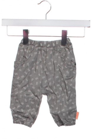 Dziecięce spodnie Sterntaler, Rozmiar 6-9m/ 68-74 cm, Kolor Szary, Cena 183,99 zł