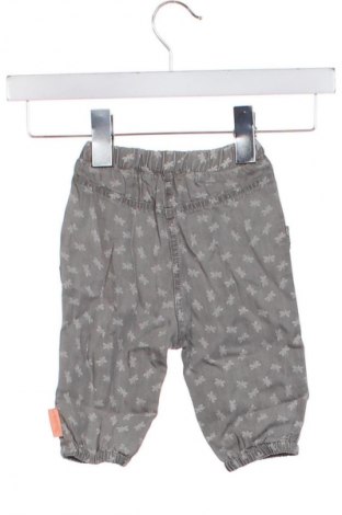 Dziecięce spodnie Sterntaler, Rozmiar 6-9m/ 68-74 cm, Kolor Szary, Cena 183,99 zł