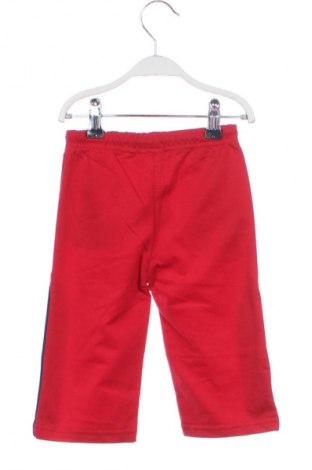 Παιδική κάτω φόρμα Unbranded, Μέγεθος 9-12m/ 74-80 εκ., Χρώμα Πολύχρωμο, Τιμή 12,77 €