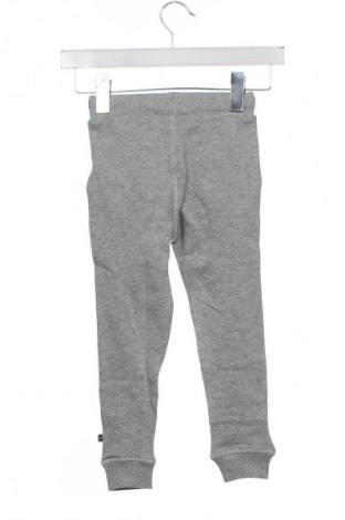 Παιδική κάτω φόρμα Unbranded, Μέγεθος 2-3y/ 98-104 εκ., Χρώμα Γκρί, Τιμή 21,99 €