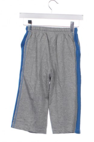 Dětské tepláky Wolf, Velikost 6-7y/ 122-128 cm, Barva Vícebarevné, Cena  435,00 Kč