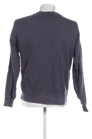 Ανδρική μπλούζα Calvin Klein Jeans, Μέγεθος S, Χρώμα Γκρί, Τιμή 47,99 €