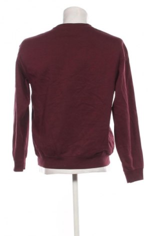 Herren Shirt H&M, Größe S, Farbe Lila, Preis € 13,99
