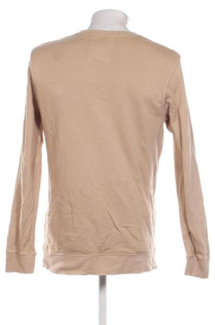 Herren Shirt Rip Curl, Größe S, Farbe Beige, Preis € 18,99