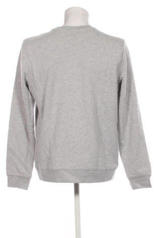 Herren Shirt Unbranded, Größe L, Farbe Grau, Preis € 13,99
