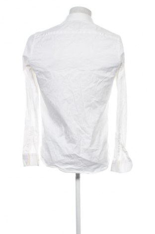 Pánska košeľa  Carducci, Veľkosť M, Farba Biela, Cena  17,39 €