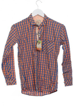 Herrenhemd Scout, Größe XS, Farbe Mehrfarbig, Preis € 32,99