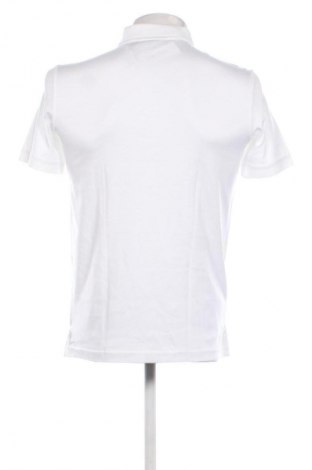 Herren T-Shirt Calvin Klein, Größe S, Farbe Weiß, Preis 86,99 €