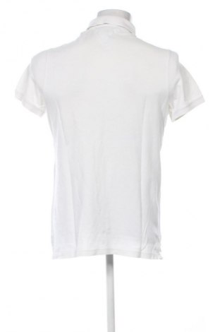 Herren T-Shirt Hilfiger Denim, Größe L, Farbe Ecru, Preis € 28,13