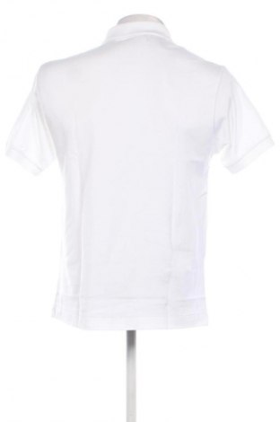 Férfi póló Lacoste, Méret M, Szín Fehér, Ár 33 389 Ft