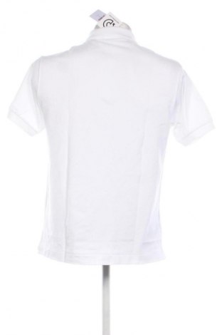Herren T-Shirt Lacoste, Größe L, Farbe Weiß, Preis € 60,99
