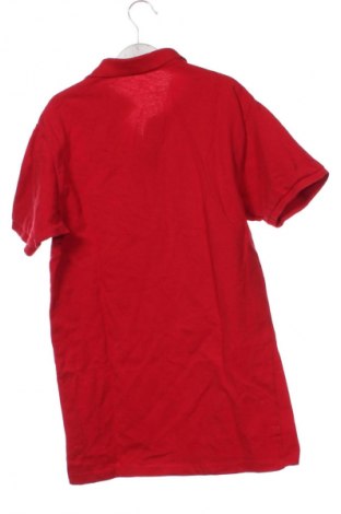 Herren T-Shirt Primark, Größe XS, Farbe Rot, Preis € 13,99
