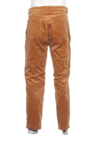 Herren Cordhose Esprit, Größe M, Farbe Braun, Preis € 33,99