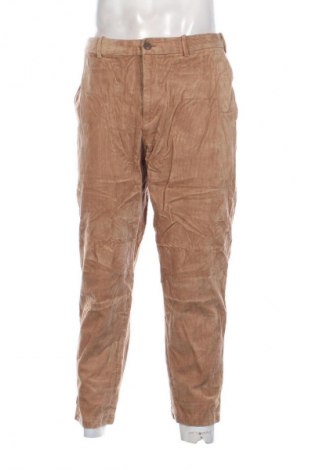Herren Cordhose Uniqlo, Größe L, Farbe Beige, Preis € 33,99