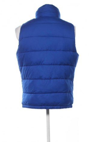 Pánská vesta  Hollister, Velikost L, Barva Modrá, Cena  1 099,00 Kč