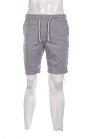Ανδρικό κοντό παντελόνι Angelo Litrico, Μέγεθος M, Χρώμα Γκρί, Τιμή 17,99 €