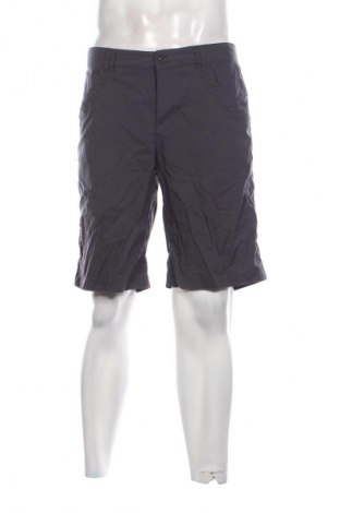 Herren Shorts Cloudveil, Größe L, Farbe Grau, Preis € 14,99