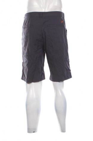 Herren Shorts Cloudveil, Größe L, Farbe Grau, Preis € 14,99