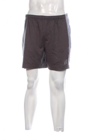 Herren Shorts Crane, Größe L, Farbe Grau, Preis € 13,99