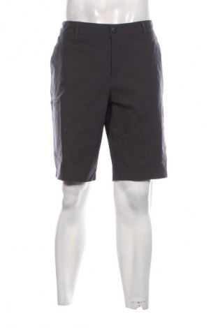 Herren Shorts Essentials by Tchibo, Größe XL, Farbe Grau, Preis € 20,99