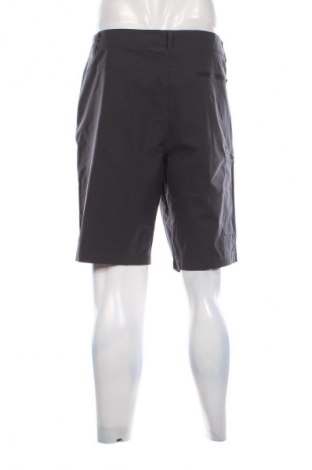 Herren Shorts Essentials by Tchibo, Größe XL, Farbe Grau, Preis € 20,99