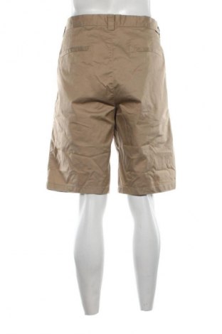 Herren Shorts H&M L.O.G.G., Größe L, Farbe Braun, Preis € 18,99