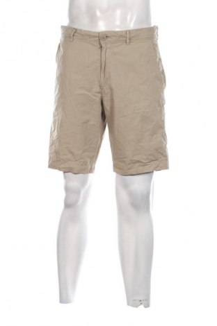 Herren Shorts Napapijri, Größe L, Farbe Grün, Preis € 54,99