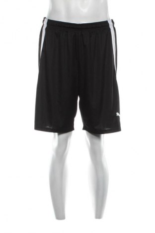 Herren Shorts PUMA, Größe XL, Farbe Schwarz, Preis € 23,99