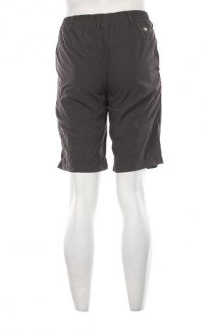 Pánské kraťasy The North Face, Velikost M, Barva Šedá, Cena  693,00 Kč