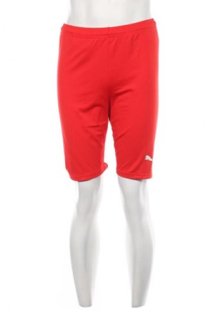 Pánske legíny  PUMA, Veľkosť XL, Farba Červená, Cena  47,57 €