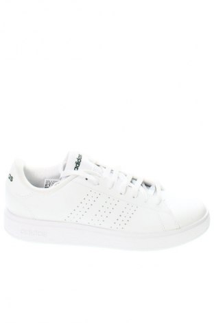 Obuwie męskie Adidas, Rozmiar 42, Kolor Biały, Cena 669,99 zł