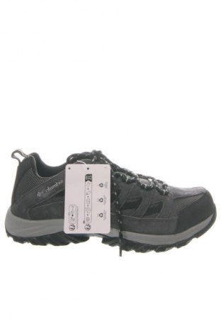 Herrenschuhe Cambio, Größe 43, Farbe Mehrfarbig, Preis 162,99 €