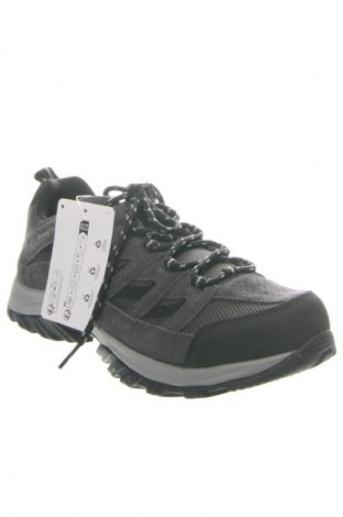 Herrenschuhe Cambio, Größe 43, Farbe Mehrfarbig, Preis 162,99 €