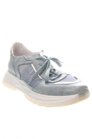 Herrenschuhe Unbranded, Größe 41, Farbe Blau, Preis 25,00 €