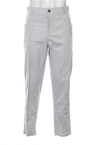 Herrenhose Unbranded, Größe L, Farbe Grau, Preis € 20,00