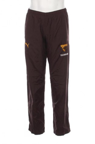 Herren Sporthose PUMA, Größe S, Farbe Mehrfarbig, Preis € 33,99