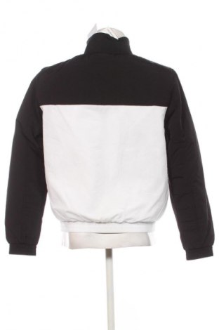 Ανδρικό μπουφάν Calvin Klein Jeans, Μέγεθος M, Χρώμα Πολύχρωμο, Τιμή 162,99 €