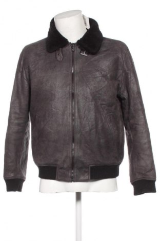 Herrenjacke Zara, Größe L, Farbe Mehrfarbig, Preis 29,99 €