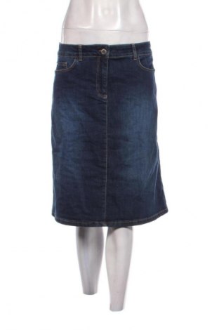 Φούστα Caroll, Μέγεθος M, Χρώμα Μπλέ, Τιμή 35,99 €