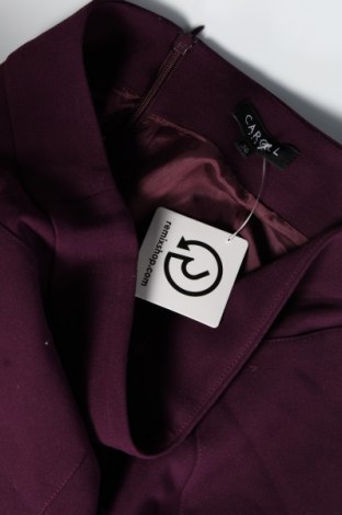 Rock Caroll, Größe S, Farbe Lila, Preis € 38,99
