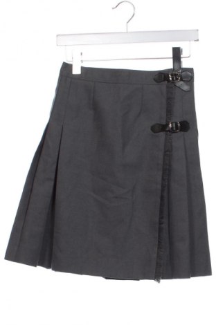 Fustă El Corte Ingles, Mărime XS, Culoare Gri, Preț 50,00 Lei